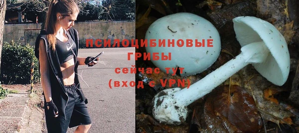 мескалин Заволжье
