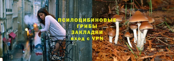 крисы Балахна
