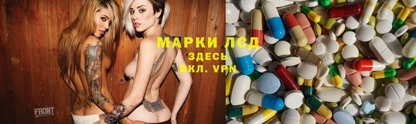 ПСИЛОЦИБИНОВЫЕ ГРИБЫ Баксан